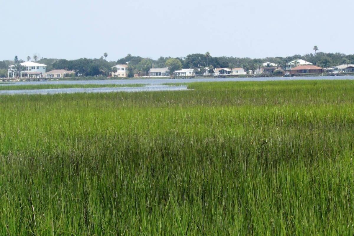 Canal Home Dock Walk To Beach Kayaks Sup Fishing St. Augustine Eksteriør bilde